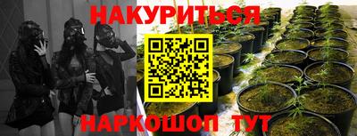 прущая мука Железногорск