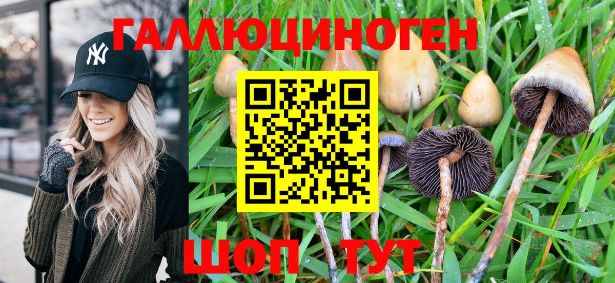 Псилоцибиновые грибы Psilocybe  Вход с VPN  Ртищево  Псилоцибиновые грибы мухоморы 